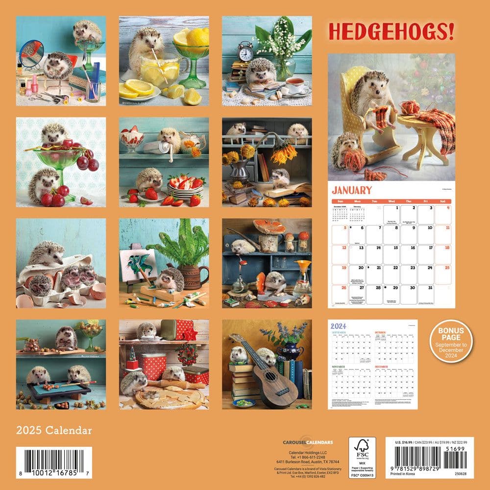 Hedgehogs 2025 Wall Calendar Alt1