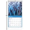 image Natures Wonders 2024 Wall Calendar Fourth Alternate 
Image width=&quot;1000&quot; height=&quot;1000&quot;