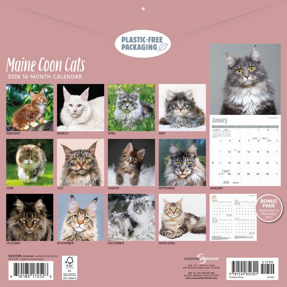 Just Maine Coon Cats 2026 Wall Calendar First Alternate Image