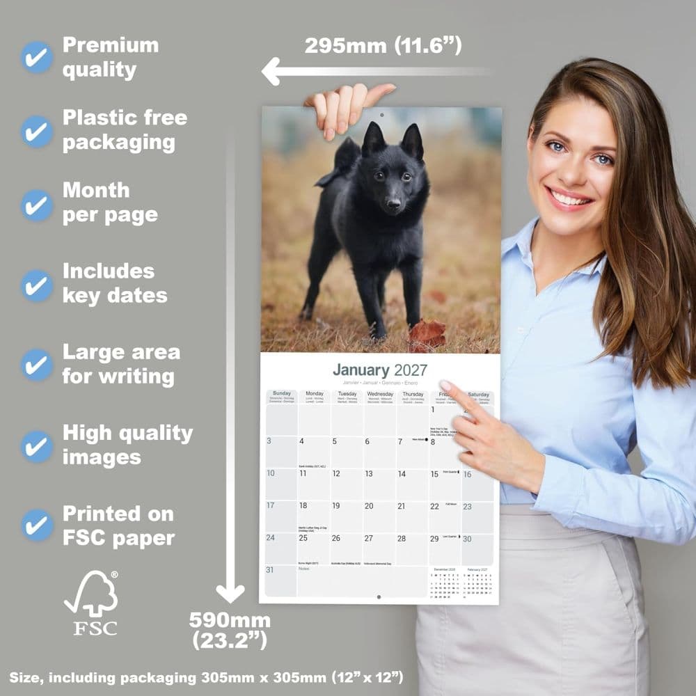 Schipperke 2027 Wall Calendar Fifth Alternate Image