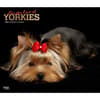 image Yorkshire Terriers Deluxe 2024 Wall Calendar Main Product Image width=&quot;1000&quot; height=&quot;1000&quot;