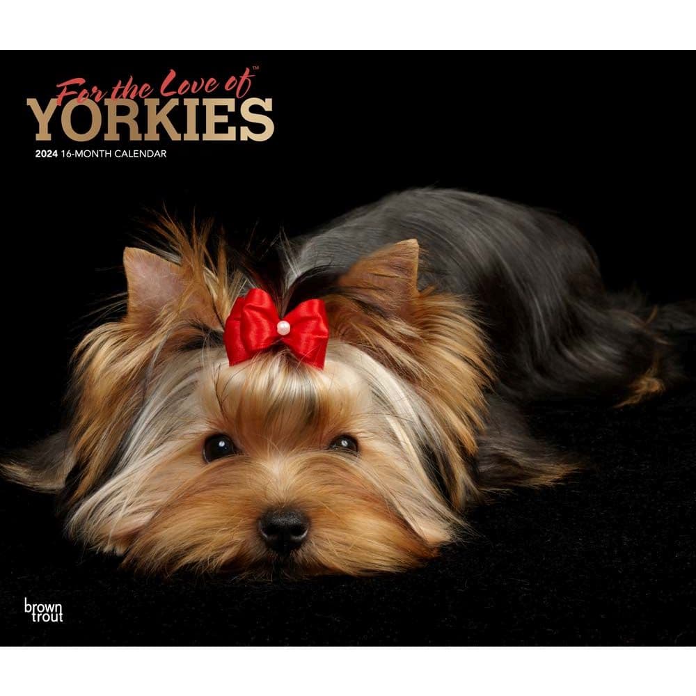 Yorkshire Terriers Deluxe 2024 Wall Calendar Main Product Image width=&quot;1000&quot; height=&quot;1000&quot;