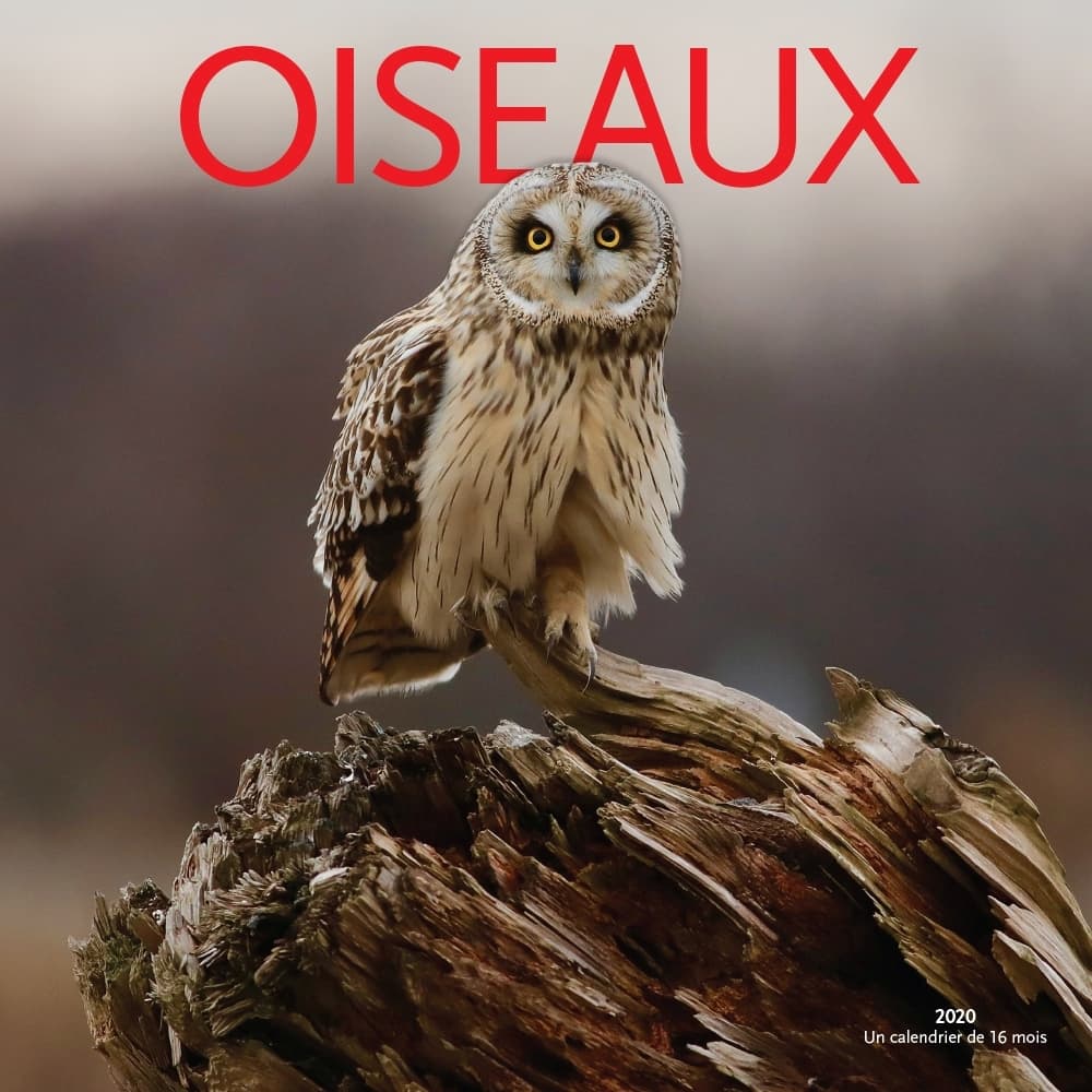 Calendrier Oiseaux 2023 Birds Oiseaux Wall Calendar (French) - Calendars.com