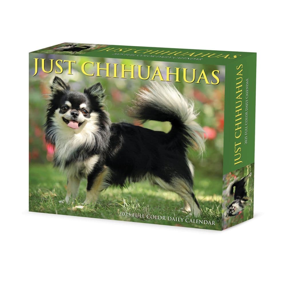 Just Chihuahuas 2025 Desk Calendar Main Product Image