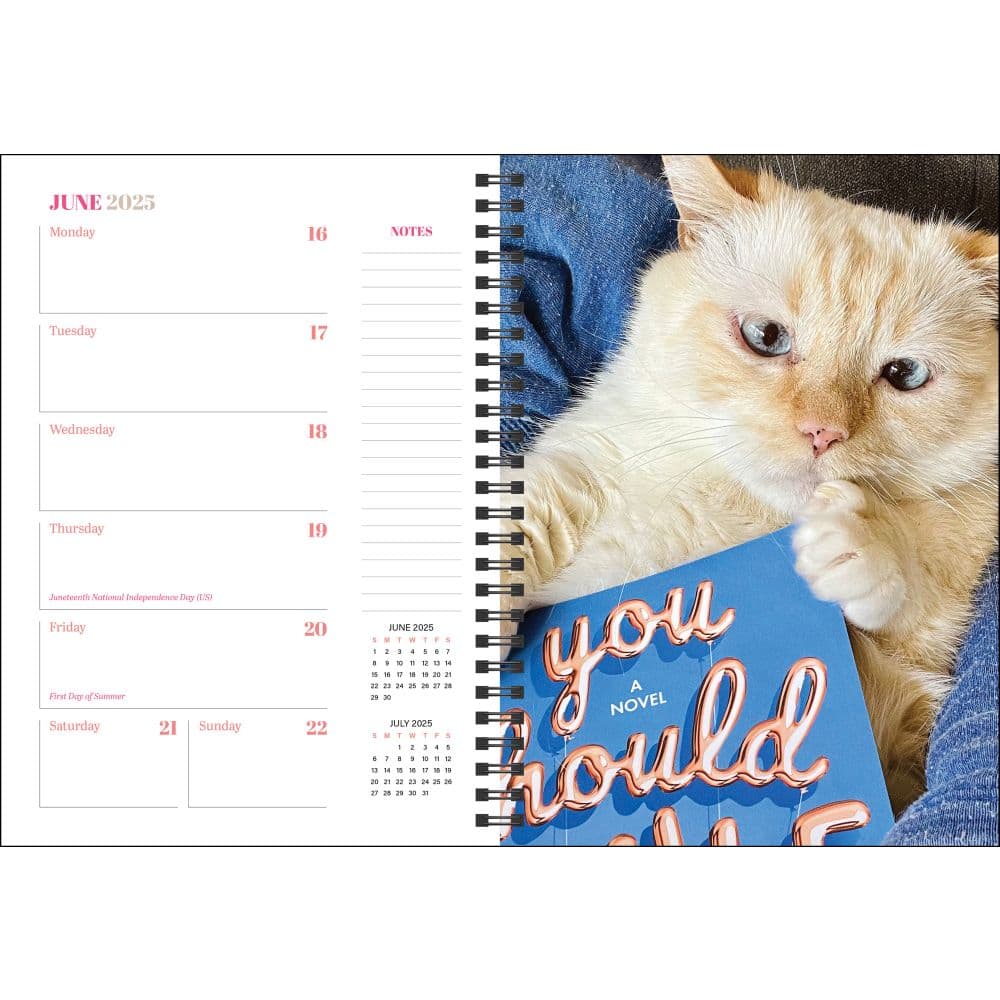 Cats and Books 2025 Weekly Planner Third Alternate Image width=&quot;1000&quot; height=&quot;1000&quot;