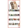 image Puppies 365 Days 2025 Wall Calendar Alt1