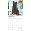 image Black Cats 2025 Wall Calendar Third Alternate Image