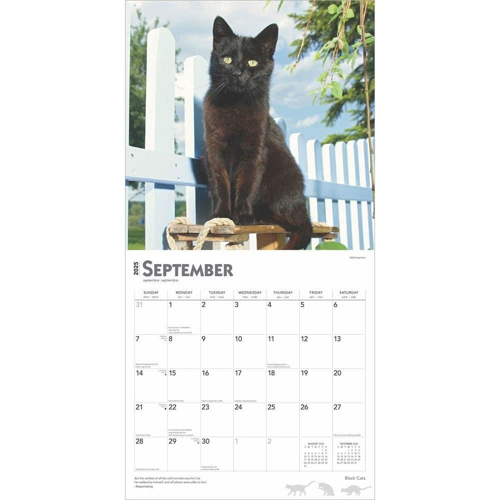 Black Cats 2025 Wall Calendar Third Alternate Image