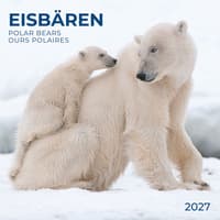 image Polar Bears 2027 Wall Calendar Main Product Image