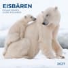 image Polar Bears 2027 Wall Calendar Main Product Image