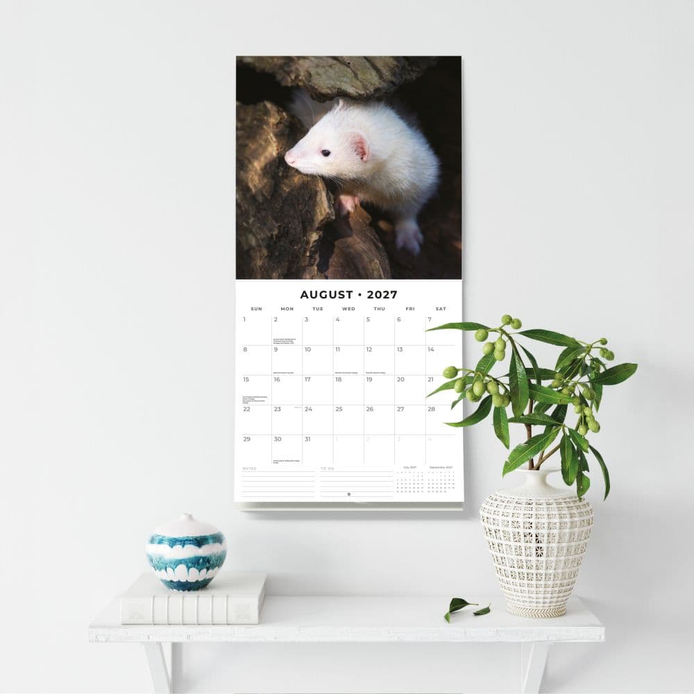 Ferrets 2027 Wall Calendar Fifth Alternate Image