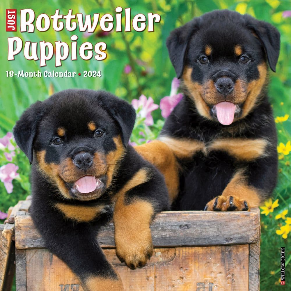 Rottweiler Calendar 2024 Calendar - Vere Vitoria