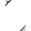 image NFL Atlanta Falcons Boxed Note Cards Alternate Image 2