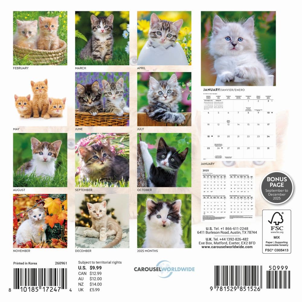 Love of Kittens 2026 Mini Wall Calendar First Alternate Image
