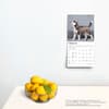 image Siberian Husky Puppies 2025 Mini Wall Calendar