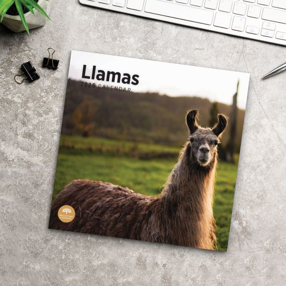 Llamas 2025 Wall Calendar Fourth Alternate Image