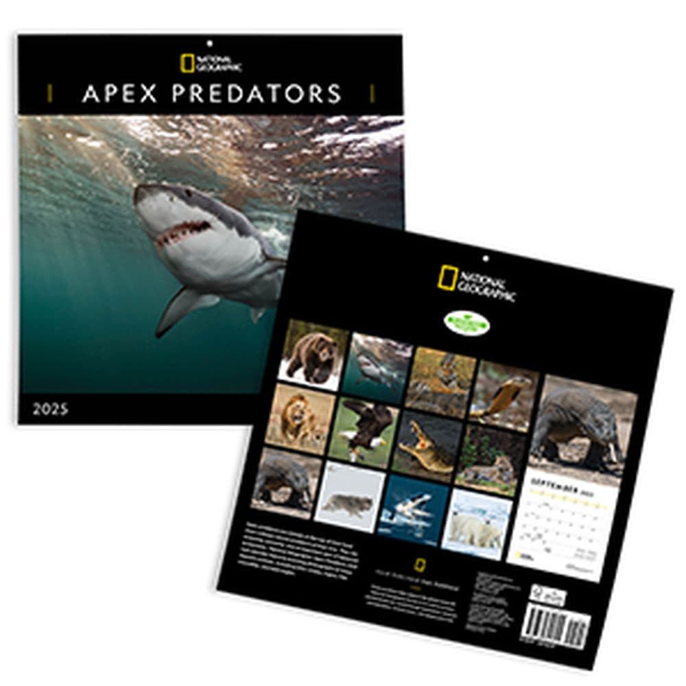 Apex Predators 2025 Wall Calendar Fifth Alternate Image width=&quot;1000&quot; height=&quot;1000&quot;