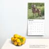 image Weimaraners 2025 Wall Calendar Fourth Alternate Image width=&quot;1000&quot; height=&quot;1000&quot;