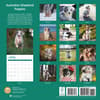 image Australian Shepherd Puppies 2025 Wall Calendar First Alternate Image width="1000" height="1000"