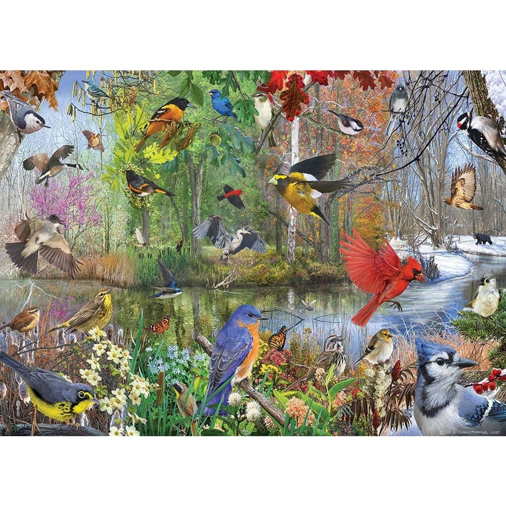 Bird of the Season 1000pc Puzzle Second Alternate Image width=&quot;1000&quot; height=&quot;1000&quot;