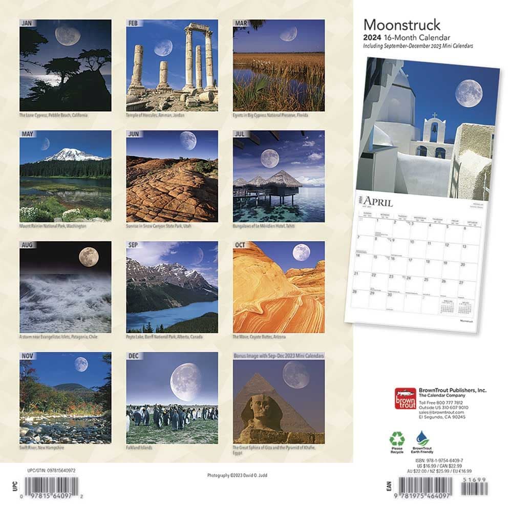 Moons 2024 Wall Calendar