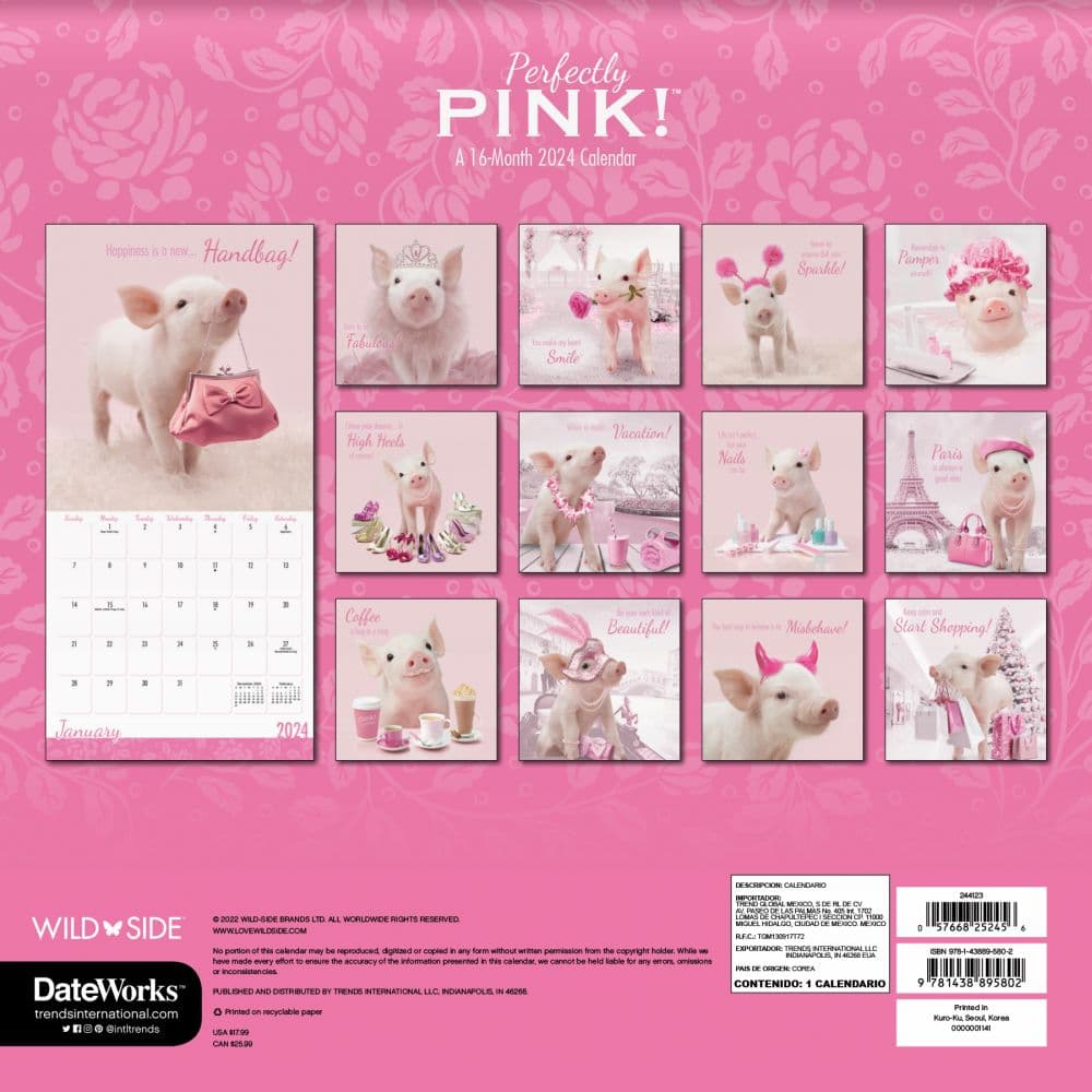 Perfectly Pink 2024 Wall Calendar