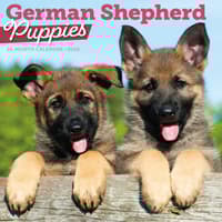 image Just German Shepherd Puppies 2026 Wall Calendar Main Product Image