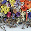image Dried Flowers 2025 Wall Calendar Main Image
