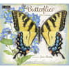 image Butterflies 2025 Wall Calendar by Jane Shasky_Main Image