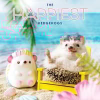 image Happiest Hedgehogs 2026 Wall Calendar  Main Image