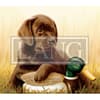 image Love Of Dogs 2024 Desktop Wallpaper