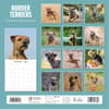 image Border Terriers 2025 Wall Calendar Alt1