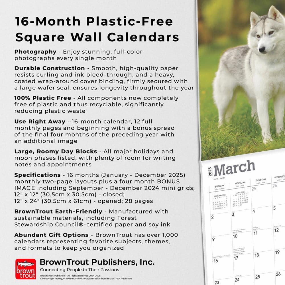 Siberian Huskies 2025 Wall Calendar Fifth Alternate Image width=&quot;1000&quot; height=&quot;1000&quot;