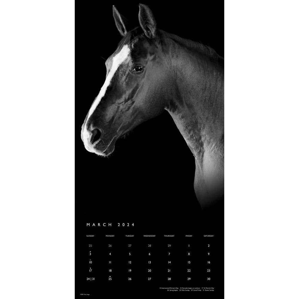 Horse Noble Portrait Series 2024 Wall Calendar Alternate Image 2
