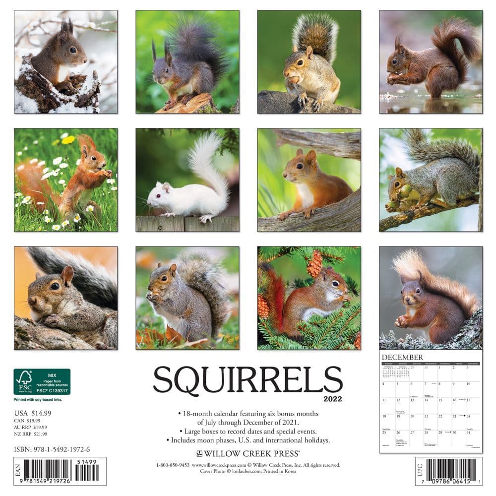 2022 Squirrel Calendar Squirrels 2022 Wall Calendar - Calendars.com