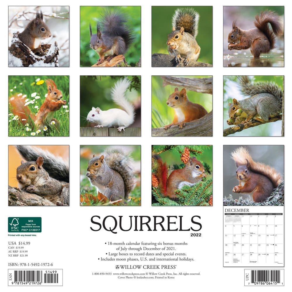 Squirrels Calendar 2022 Cute Animal Wall 15% OFF MULTI ORDERS! 