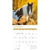 image Horses 2026 Wall Calendar Fourth Alternate Image