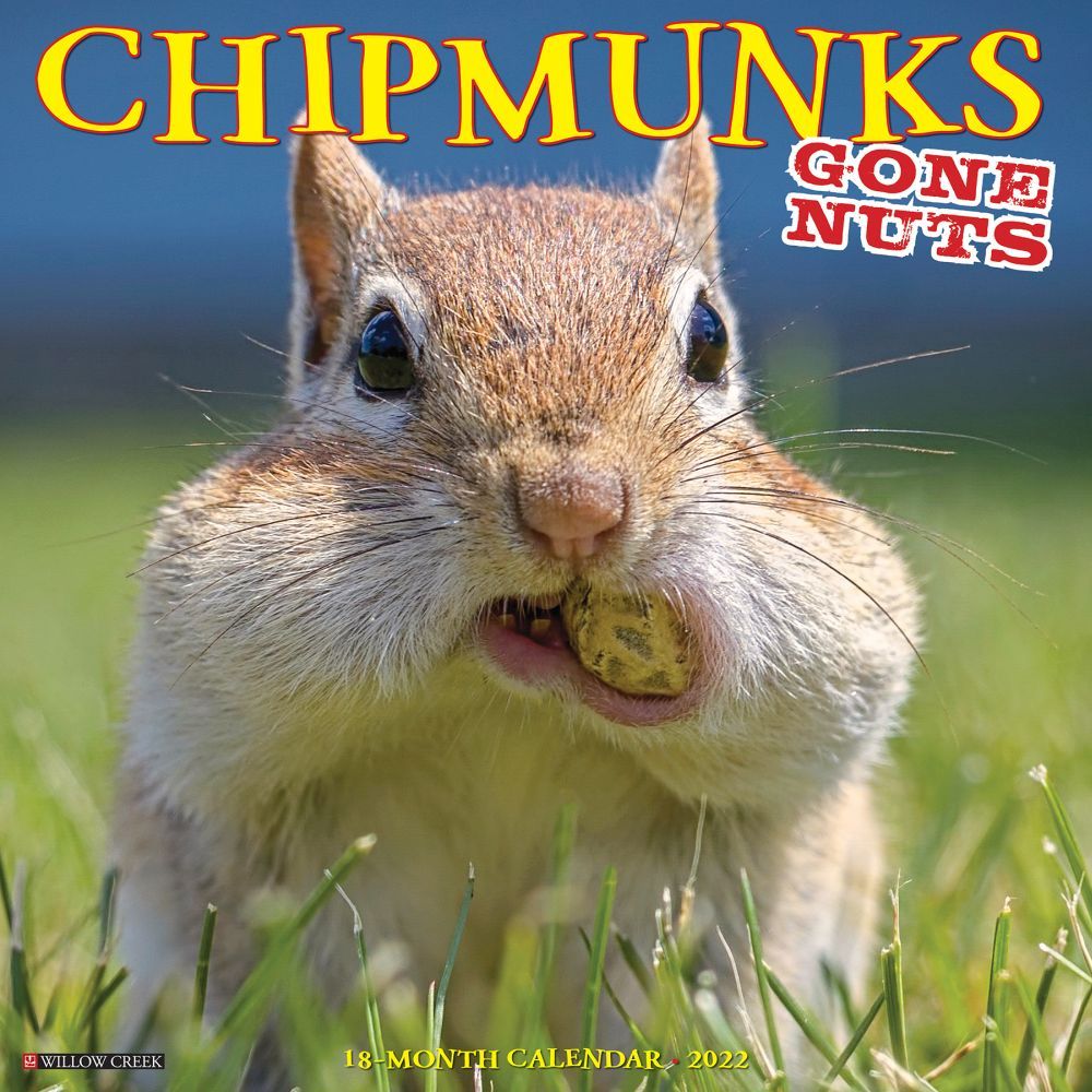 Chipmunks Gone Nuts 2022 Wall Calendar