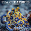 image Sea Creatures 2027 Wall Calendar