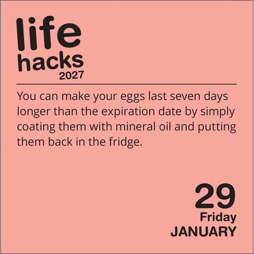 Life Hacks 2027 Desk Calendar Second Alternate Image