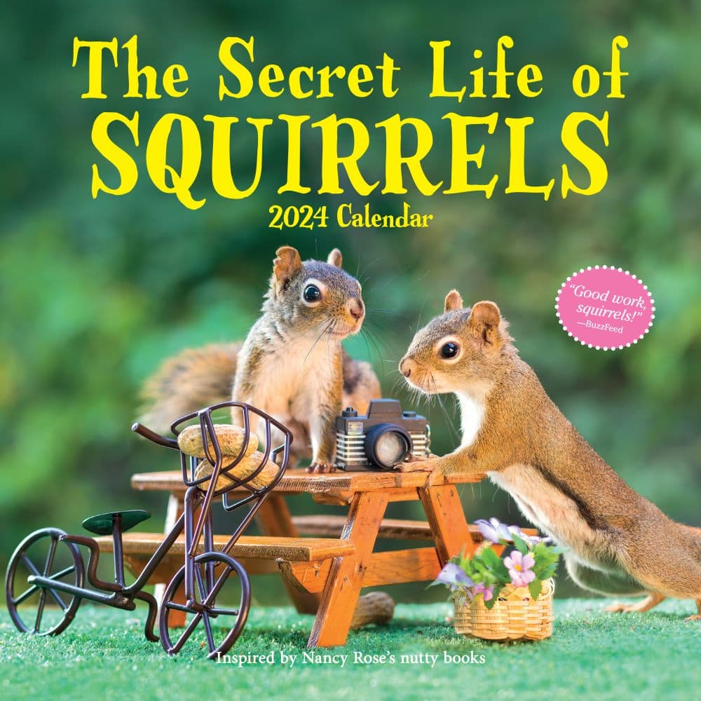 Secret Life of Squirrels 2024 Wall Calendar Main Image