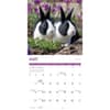 image Rabbits 2025 Wall Calendar Third Alternate Image width=&quot;1000&quot; height=&quot;1000&quot;