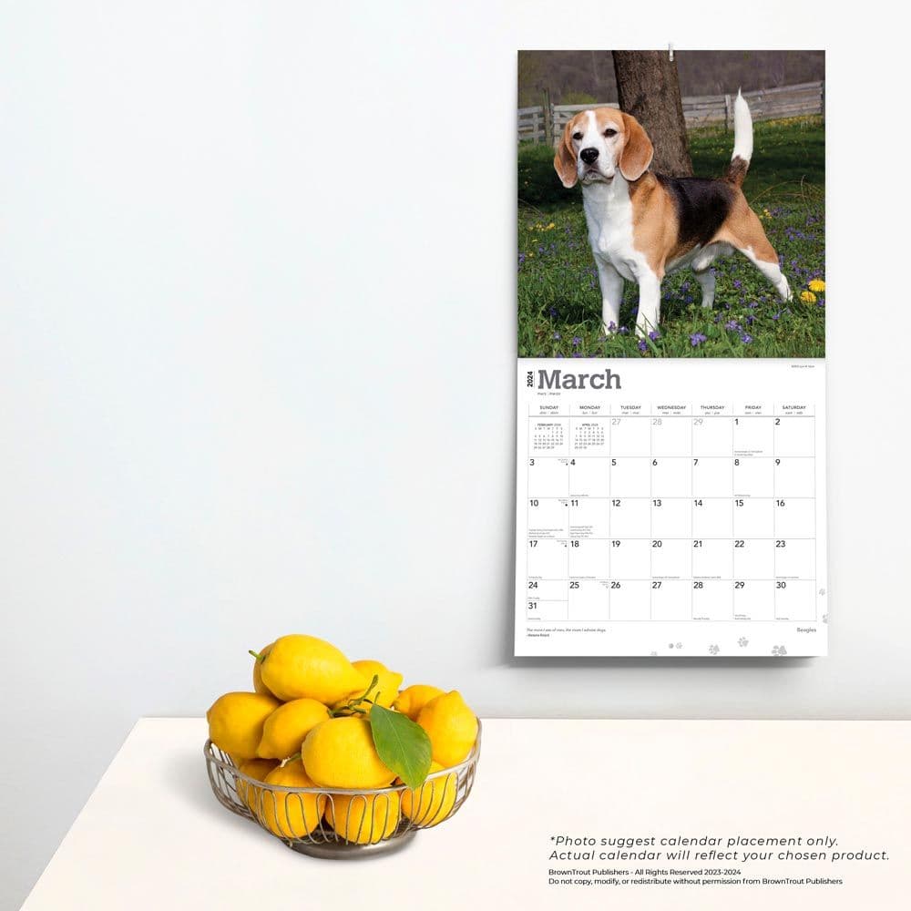 Beagles 2024 Wall Calendar