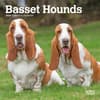 image Basset Hound 2024 Mini Wall Calendar Main Product Image width=&quot;1000&quot; height=&quot;1000&quot;