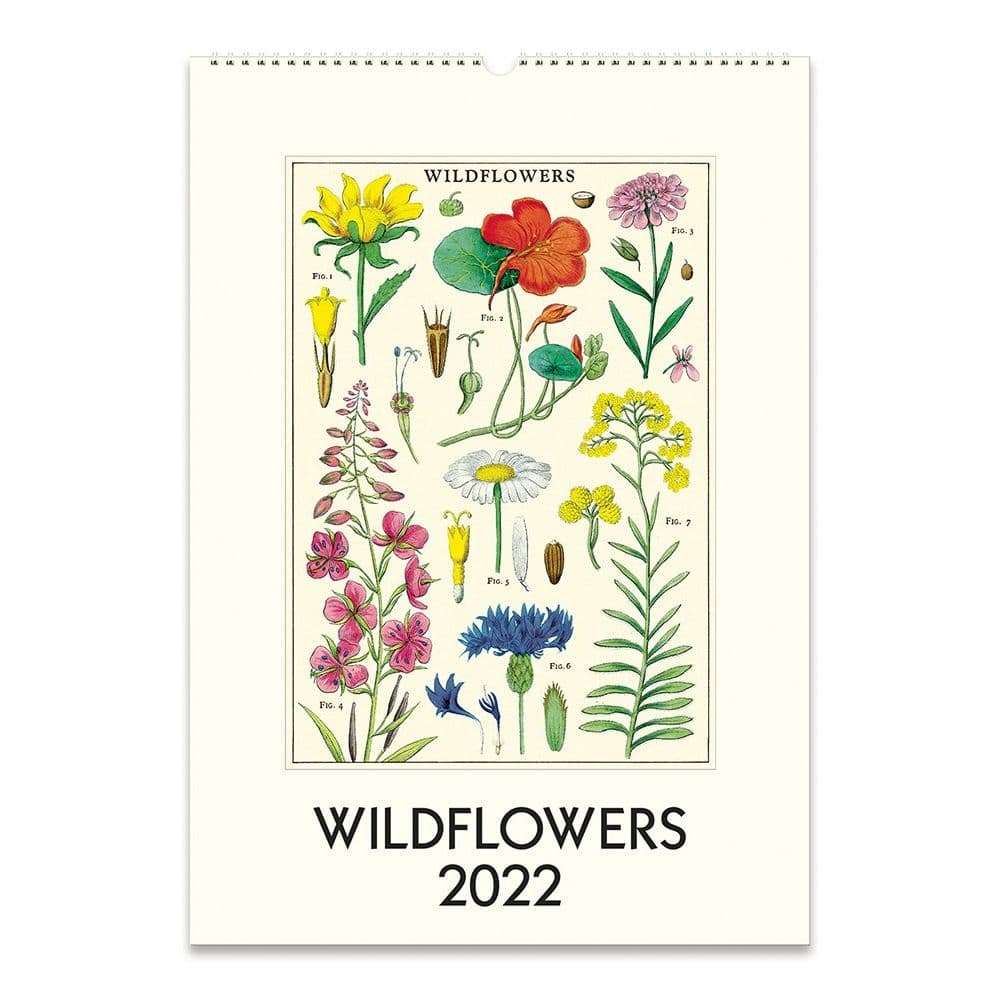 Wildflowers 2022 Poster Wall Calendar