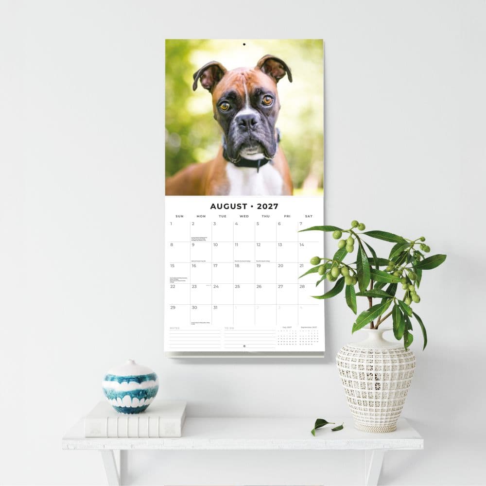 Boxers 2027 Wall Calendar Fifth Alternate Image