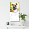 image Boxers 2027 Wall Calendar Fifth Alternate Image