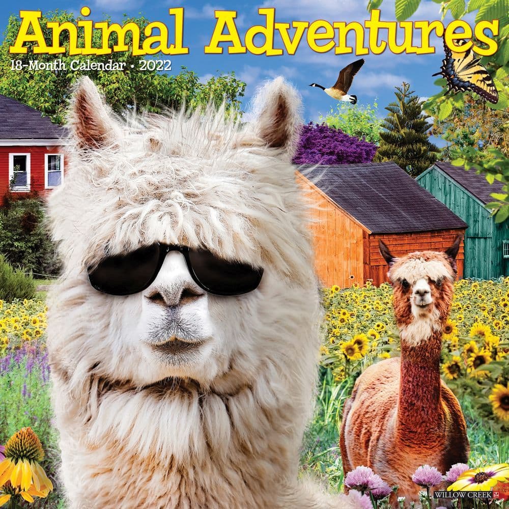 Animal Adventures 2022 Wall Calendar