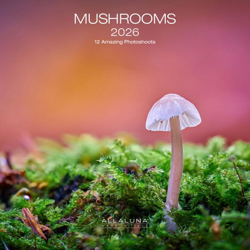 Mushrooms 2026 Mini Wall Calendar Main Product Image