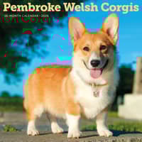 image Pembroke Welsh Corgis 2026 Wall Calendar Main Product Image